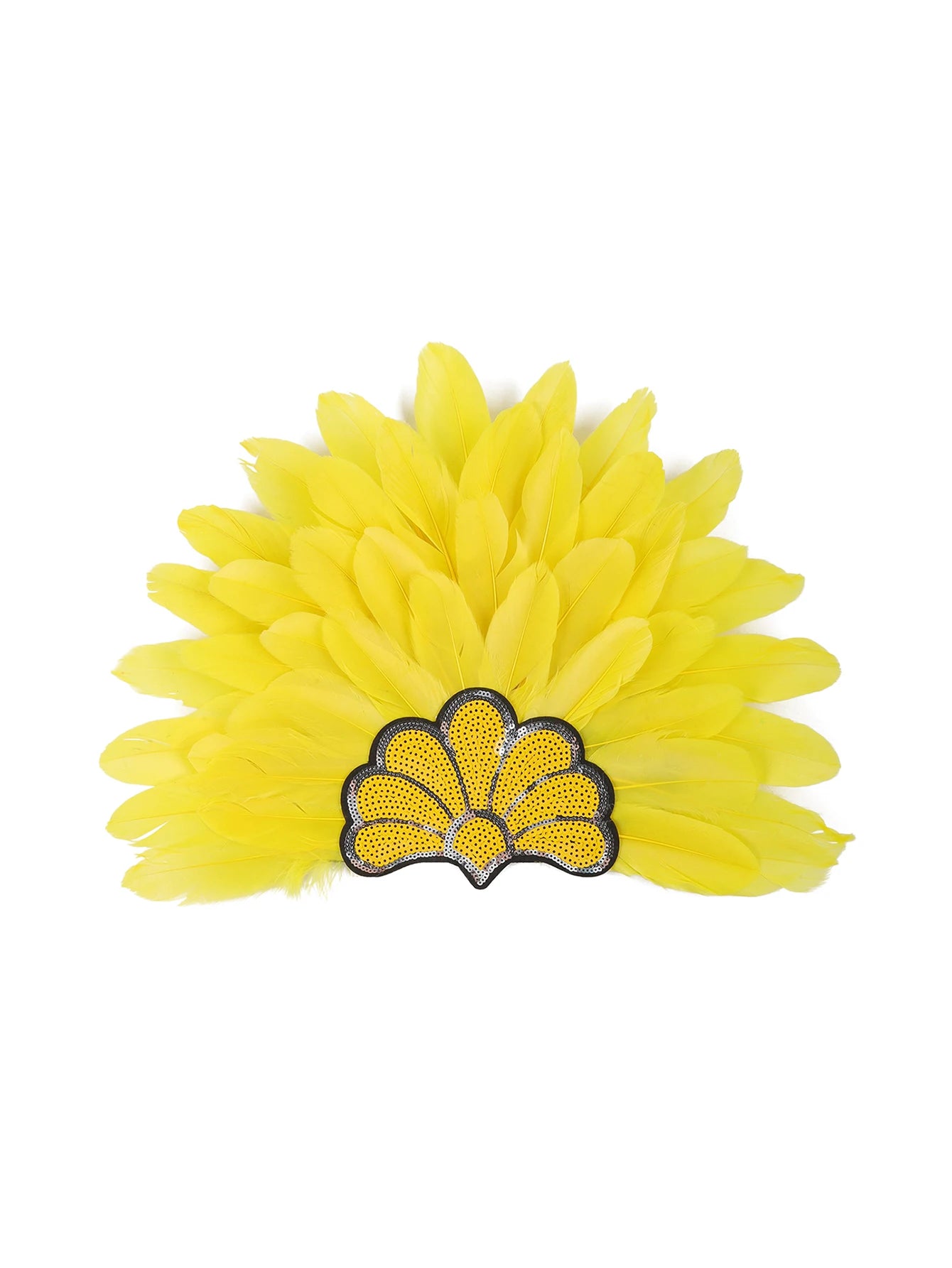 Headdress Plumes Multicolores