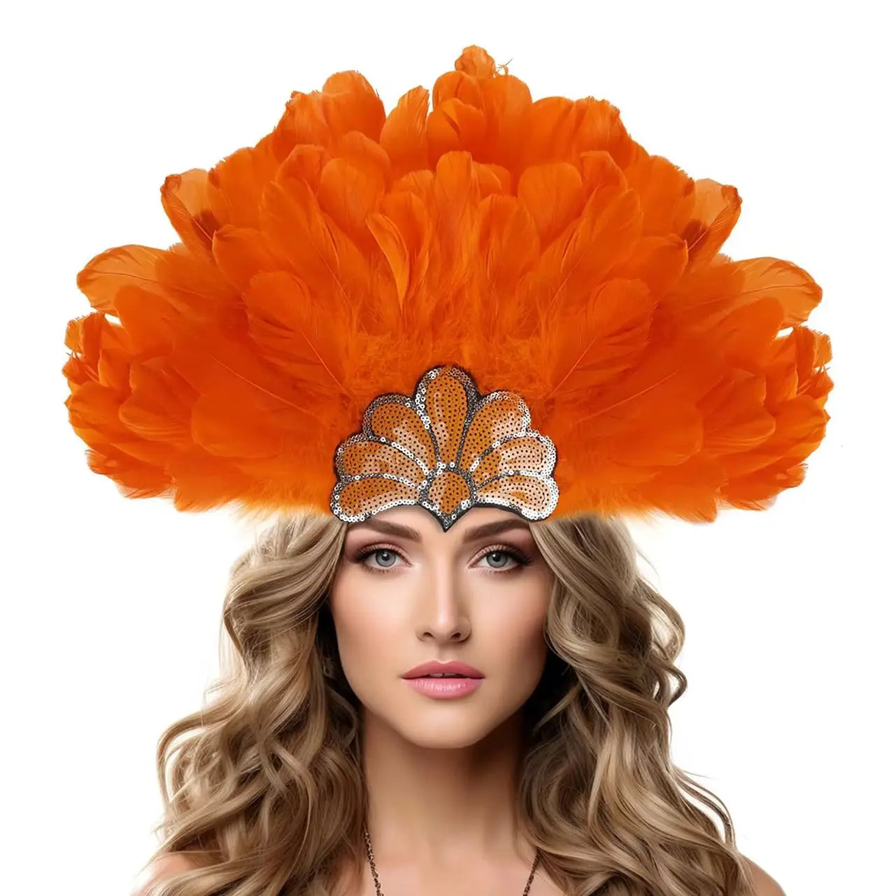 Headdress Plumes Multicolores