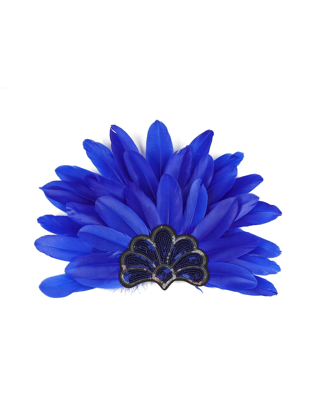 Headdress Plumes Multicolores