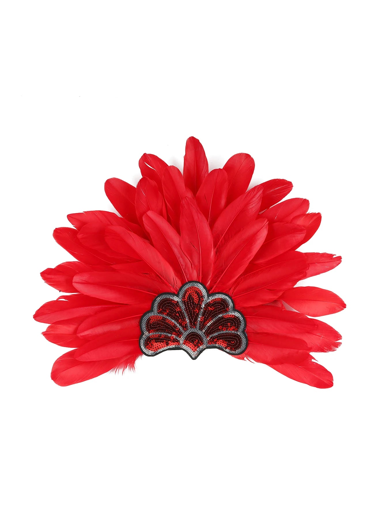 Headdress Plumes Multicolores