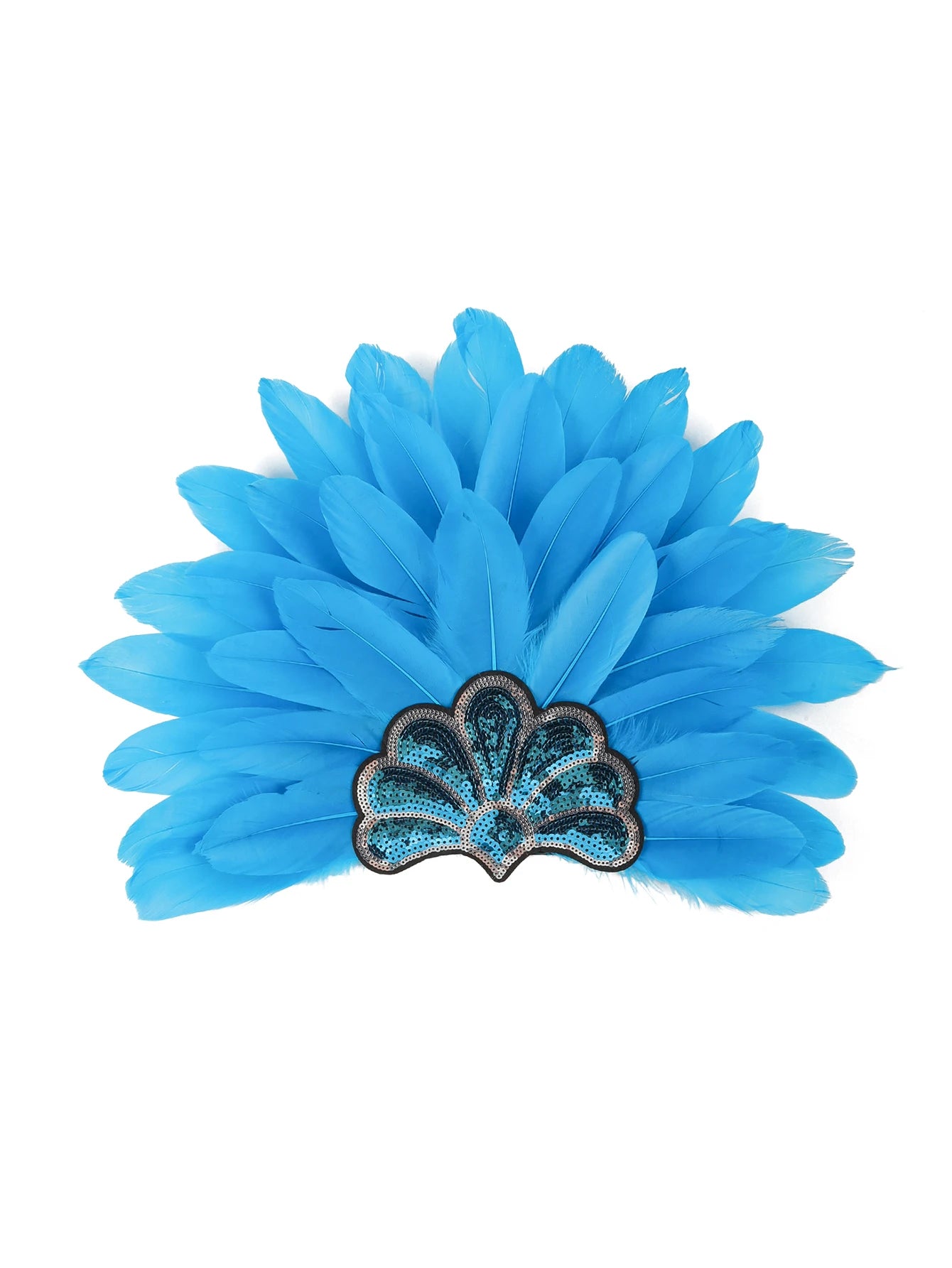 Headdress Plumes Multicolores
