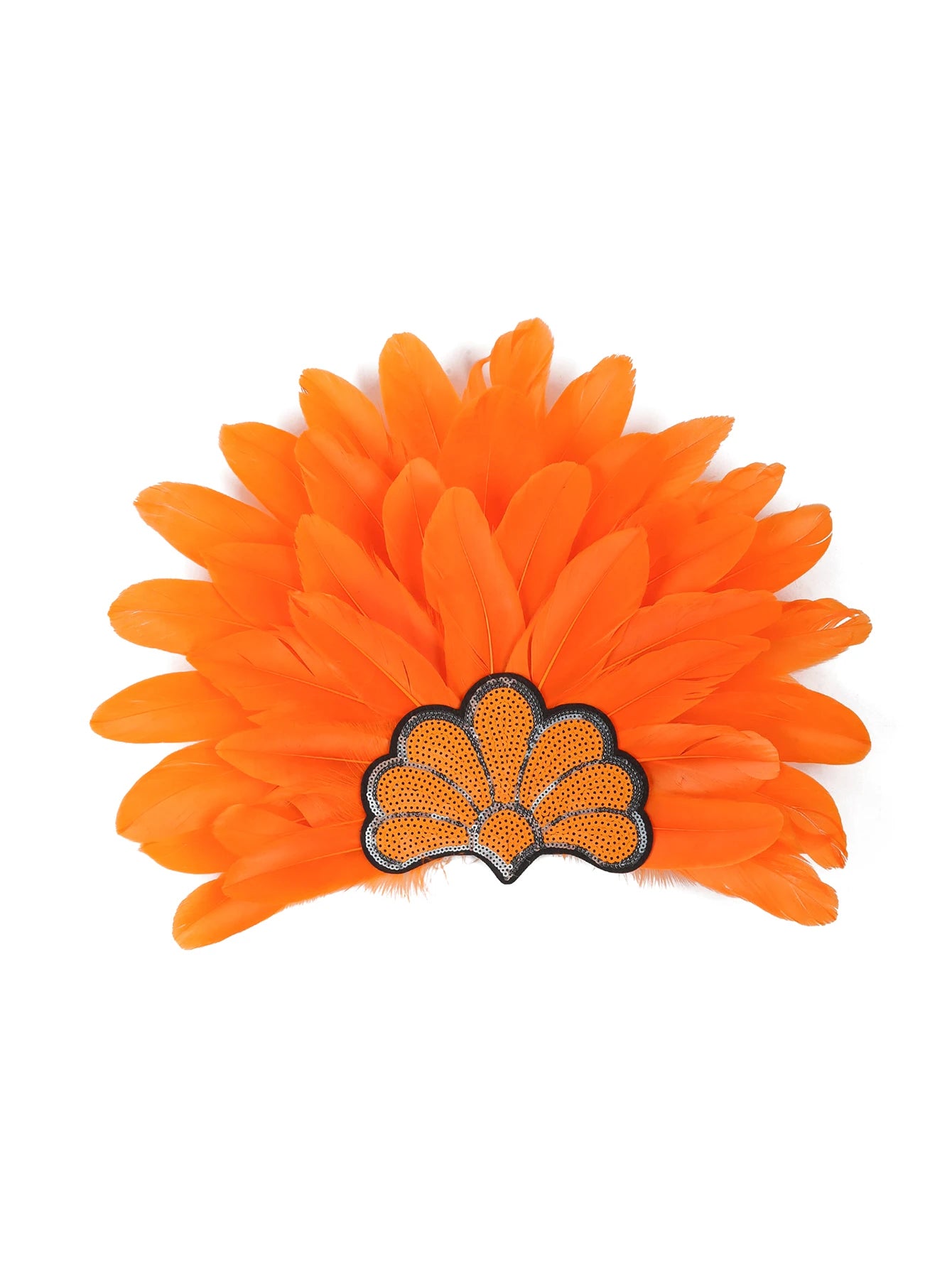 Headdress Plumes Multicolores