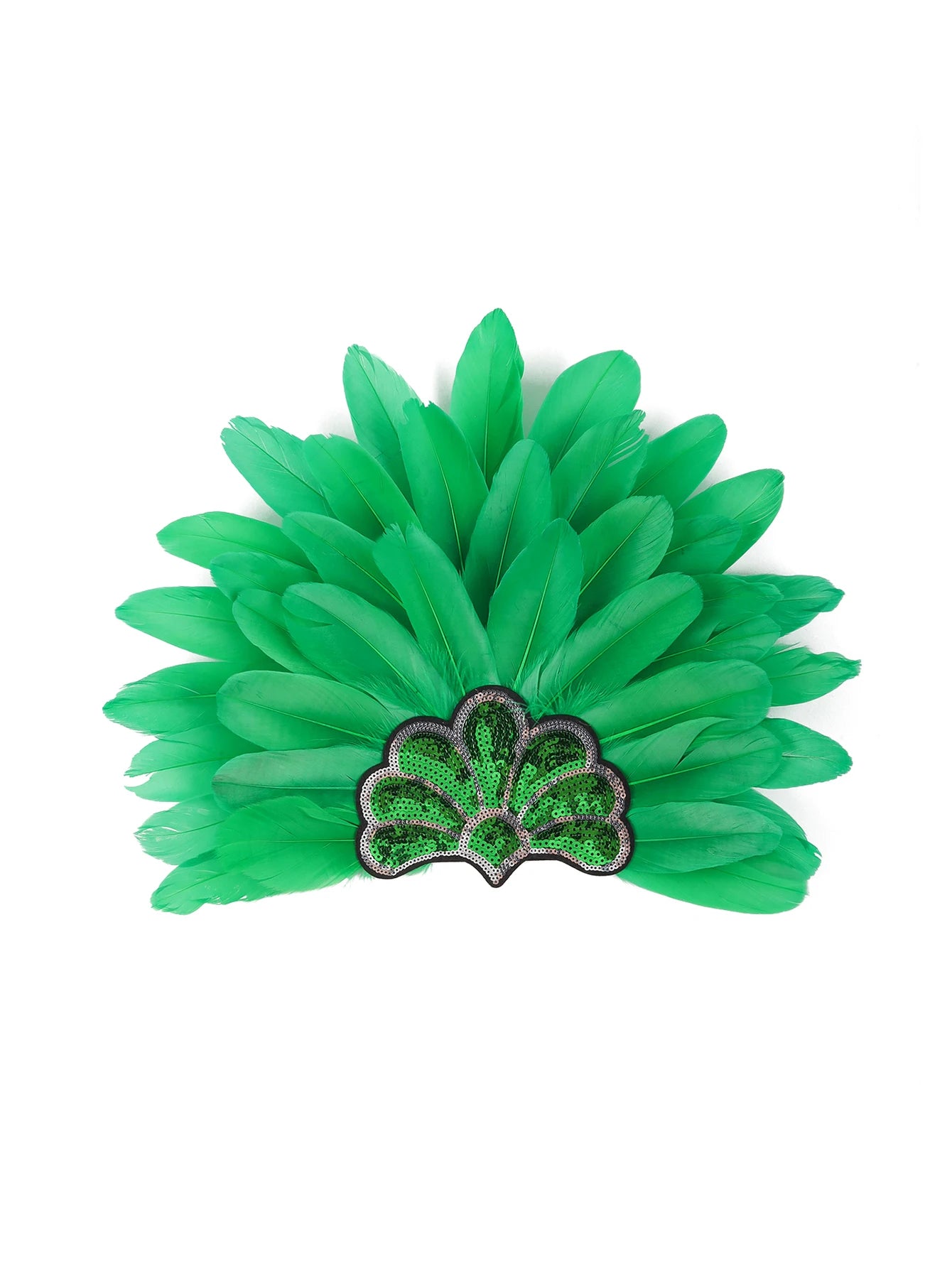 Headdress Plumes Multicolores