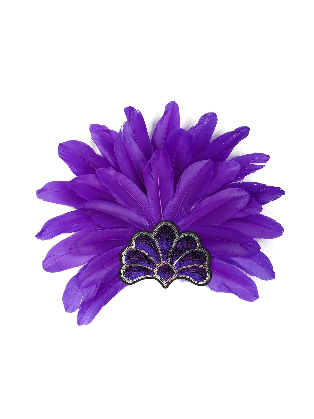 Headdress Plumes Multicolores