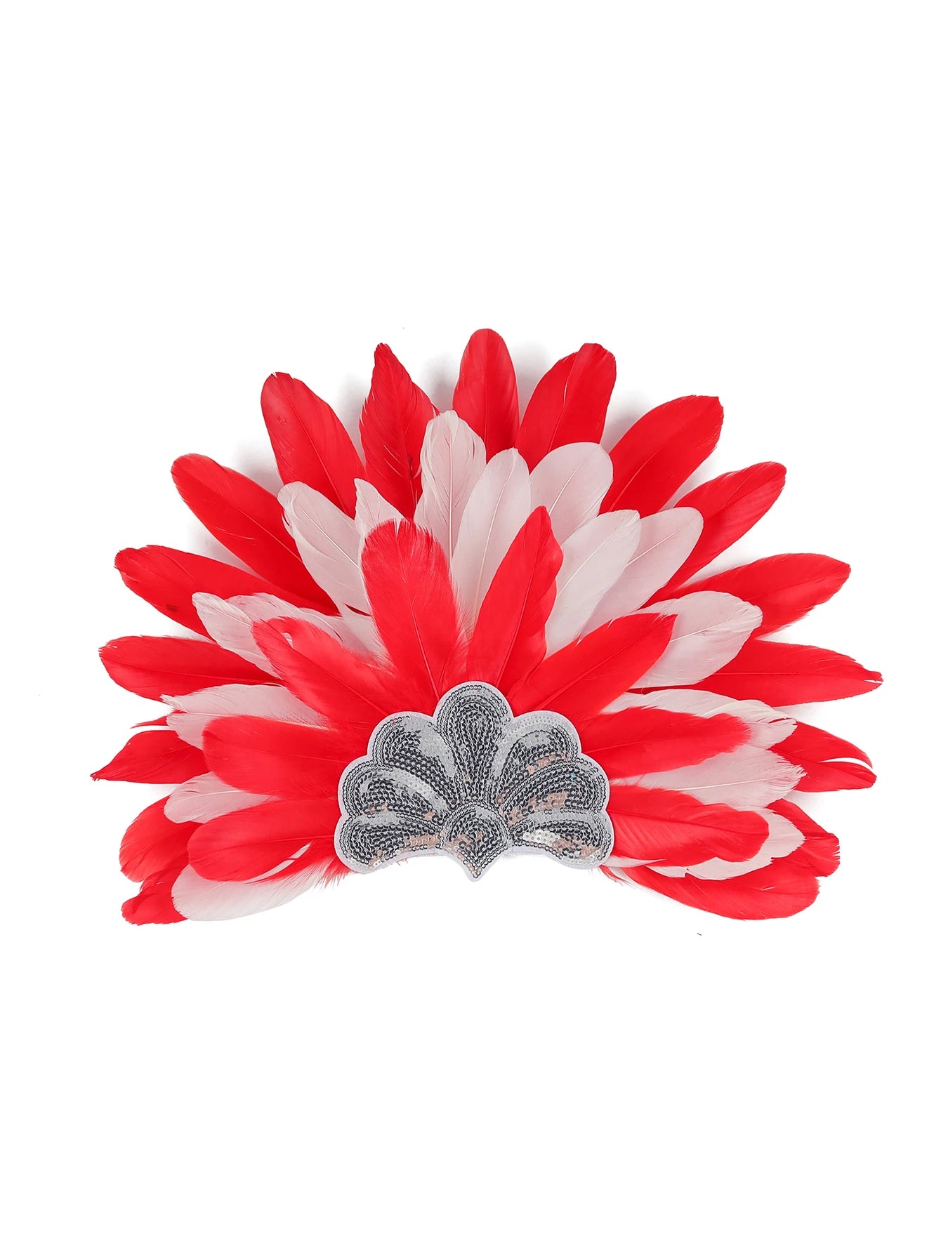 Headdress Plumes Multicolores